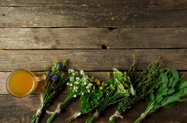 Obat herbal segar. Obat herbal (chamomile, wormwood, yar — Stok Foto