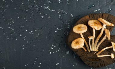 Siyah tahtada taze mantarlar. Yukarıdan görüntüleyin. Kopyalama alanı.