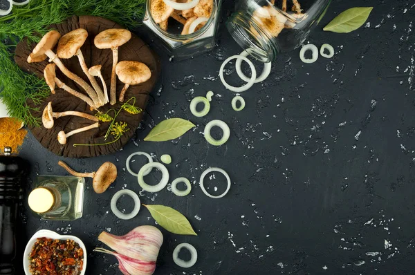 Cogumelos frescos com especiarias e ervas na placa preta. Vista de — Fotografia de Stock