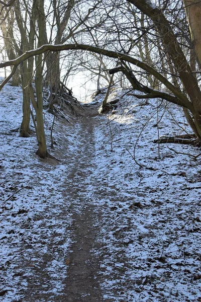 Boczny Trakt Gore Pionowo —  Fotos de Stock