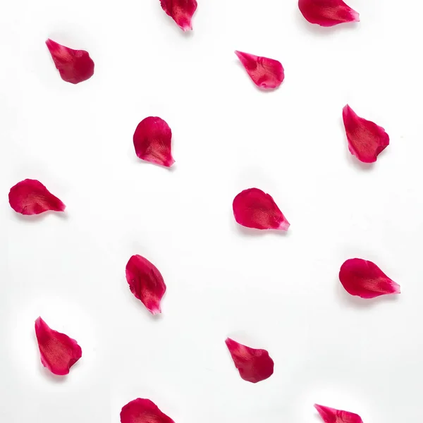 Mönster av rosenblad eller pioner på en vit bakgrund anges i diagonal ordning — Stockfoto