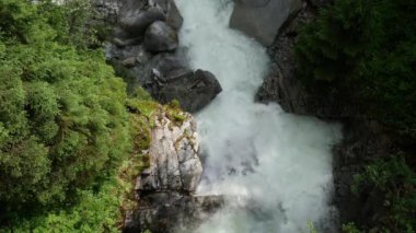 Yaz günü Polonya 'nın Tatra Ulusal Parkı' ndaki Dağ Ormanı 'ndaki Şelale Nehri.