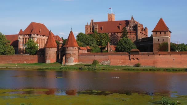 マルボーク城ポーランドの夏の日にノガト川の古い歴史的Teutonic要塞のランドマークヨーロッパ — ストック動画