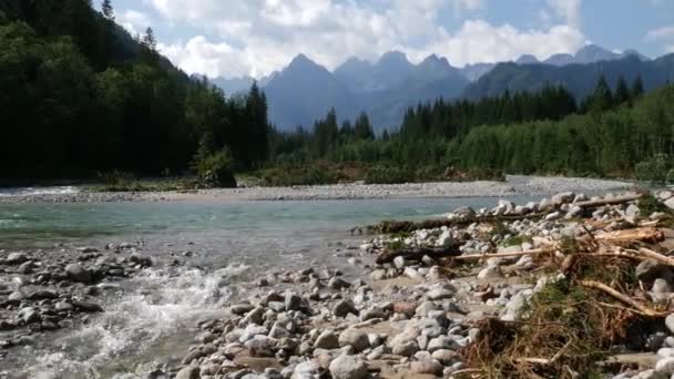 Horská Řeka Lese Národním Parku Tatra Polsko Evropa Letní Den — Stock video