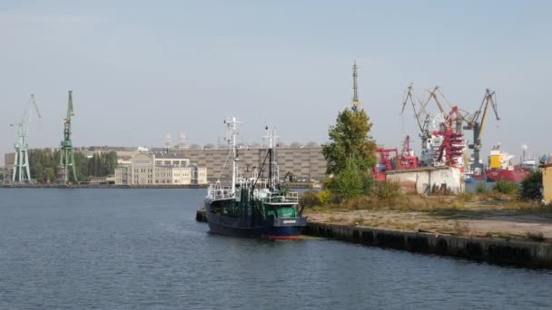 Zeehaven Met Vrachtkranen Gdansk Stad Zomerdag — Stockvideo