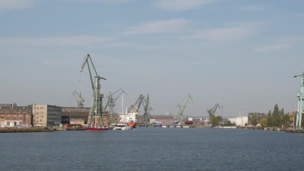 Zeehaven Met Vrachtkranen Gdansk Stad Zomerdag — Stockvideo