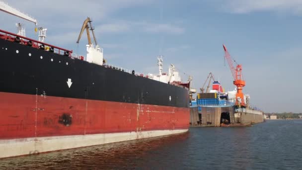 Embarcación Carga Contenedores Puerto Marítimo Con Grúas Carga Día Verano — Vídeos de Stock