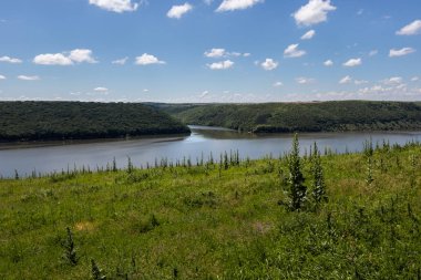 Dinyester Nehri ve yeşil arasında kolu, beyaz bulutlar ile mavi bir gökyüzü altında orman kıyıları ile kaplı. Yaz manzarası. Ukrayna.