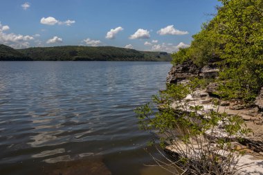 Dinyester'in berrak mavi gökyüzünü yansıtan sakin ovası, yeşil çalılarla kaplı kayalık bir kıyıda yer almaktadır. Ufukta beyaz bulutlar var. Yaz manzarası. Ukrayna.