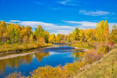 Renkli sonbahar ağaçlar Nehri boyunca renkli