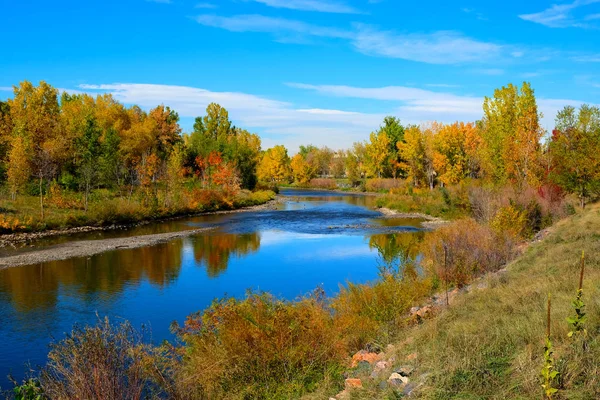 Colorful Fall Colored Trees River — Stock Photo, Image