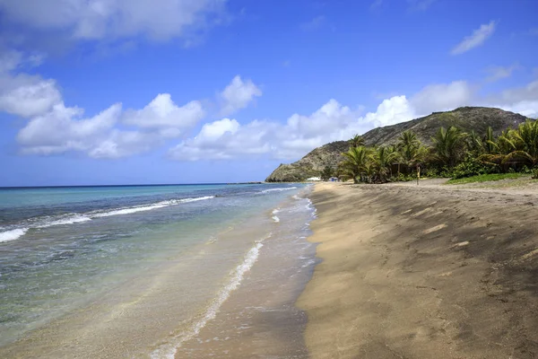 Pristine Caribbean Beach Kitts Palm Trees Ocean Background — Stock Photo, Image