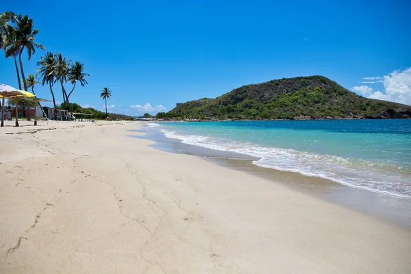 Unberührter Karibischer Strand Kitts Mit Palmen Und Meeresgrund Stockbild