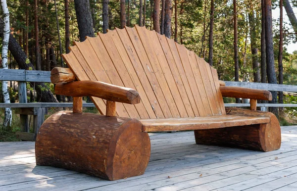 Wooden bench in pine tree forest near Saulkrasti, Latvia