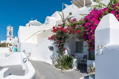 Imerovigli, Yunanistan - Ağustos 2018: Geleneksel beyaz Rum köyü Santorini Adası'nda Begonvil çiçekli.