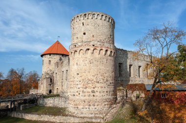 Şehirde Cesis, Letonya Ortaçağ kale kalıntıları ile sonbahar park