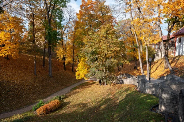 Осенний Парк Пешеходными Дорожками Городе Цесис Латвия — стоковое фото