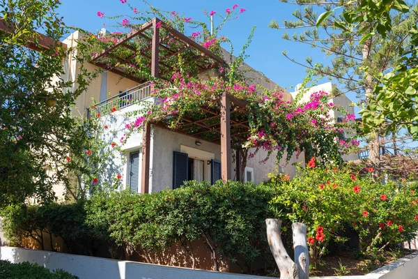 House Green Plants Crete Island Greece — Stock Photo, Image