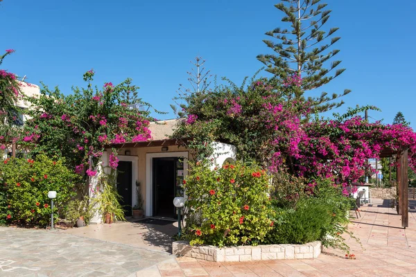 Heraklion Greece August 2018 House Green Plants Crete Island Greece — Stock Photo, Image