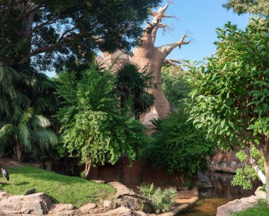 Beautiful park, decorated with boat tree in Fuengirola town, Andalusia, Spain