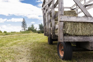 Saman balya saman alanında, bir ahşap.