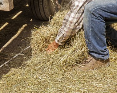 Çiftçi silah pazen tişört ve kot pantolon ile saman yığını kapmak.