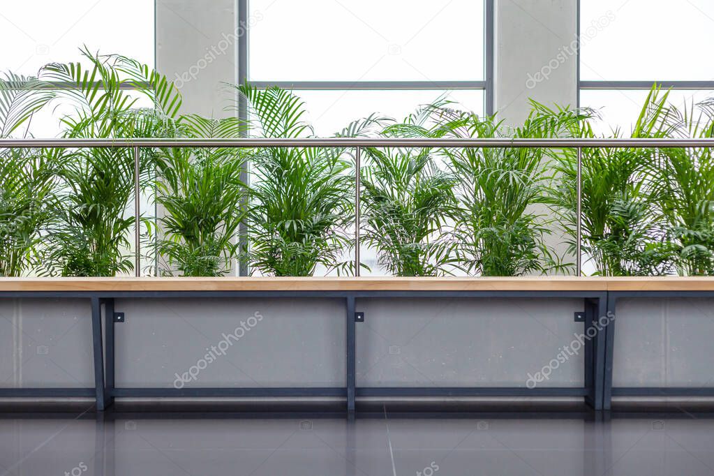 Modern office lobby bench with plants frontal shot corporate calm green area, empty waiting room seats abstract concept, nobody no people Simple business employee lounge backdrop, background copyspace