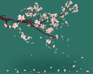 Mutlu Noeller ve mutlu yeni yıl 2019