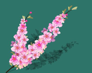 Mutlu Noeller ve mutlu yeni yıl 2019