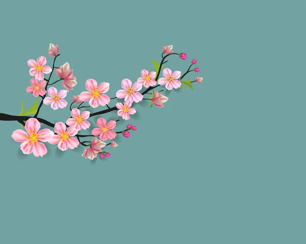 Mutlu Noeller ve mutlu yeni yıl 2019