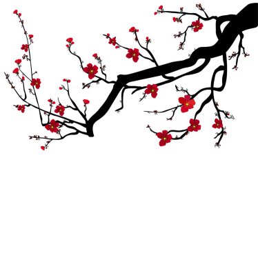 Suluboya sakura çerçeve. Çiçeği kiraz ağacı dalları ile arka plan. El Japon çiçek arka plan çekilmiş