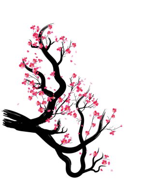 Mutlu yeni yıl 2019. Chienese yeni yıl, yıl domuzun