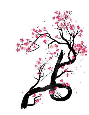 Mutlu yeni yıl 2019. Chienese yeni yıl, yıl domuzun