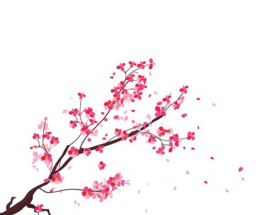 Mutlu yeni yıl 2019. Chienese yeni yıl, yıl domuzun