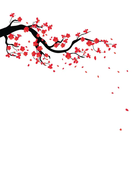 Akvarell Sakura Ram Bakgrund Med Blossom Körsbärsträd Grenar Hand Dras — Stock vektor
