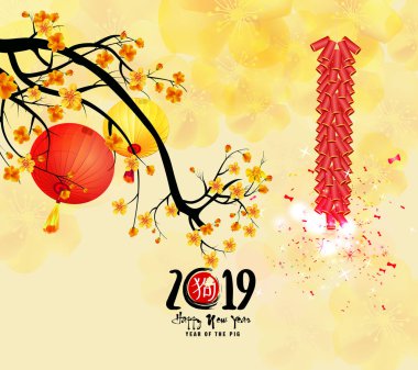 Mutlu yeni yıl 2019. Chienese yeni yıl, yıl domuz. Kiraz çiçeği arka plan