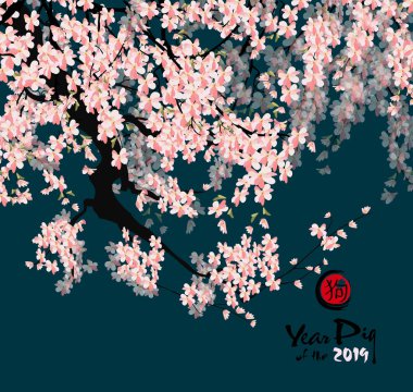 Mutlu yeni yıl 2019. Chienese yeni yıl, yıl domuz. Kiraz çiçeği arka plan