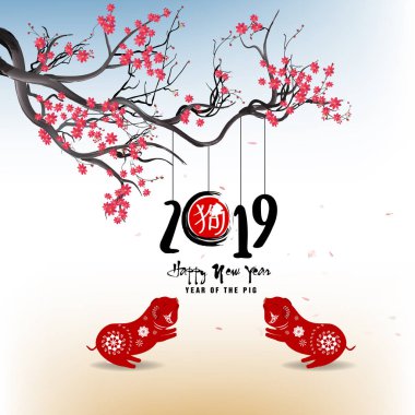 Mutlu yeni yıl 2019. Chienese yeni yıl, yıl domuz. Kiraz çiçeği arka plan