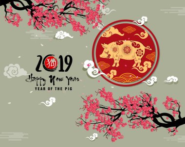 Mutlu yeni yıl 2019. Chienese yeni yıl, yıl domuz. Kiraz çiçeği arka plan