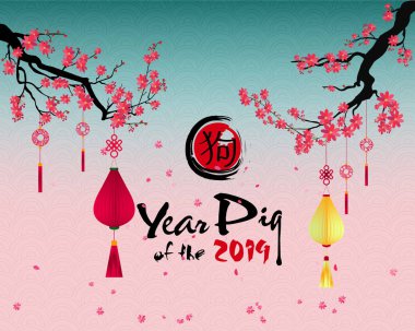 Mutlu yeni yıl 2019. Chienese yeni yıl, yıl domuz. Kiraz çiçeği arka plan