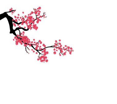 Suluboya sakura çerçeve. Çiçeği kiraz ağacı dalları ile arka plan. El Japon çiçek arka plan çekilmiş