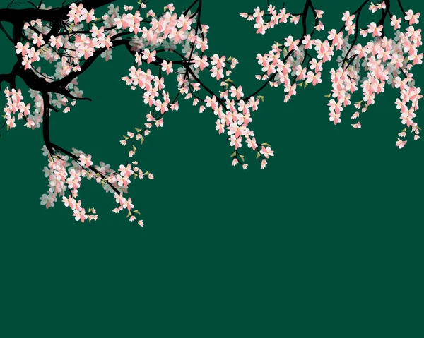 Akwarela Sakura Ramki Tło Gałęzi Drzew Wiśni Kwiat Ręcznie Rysowane — Wektor stockowy