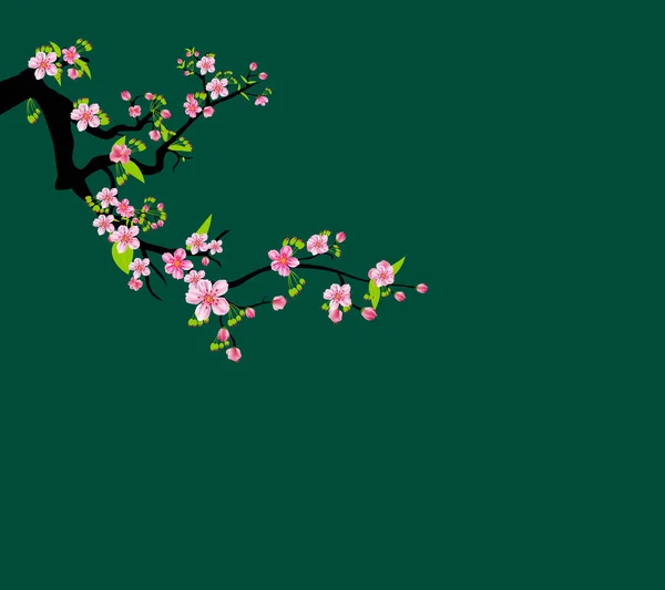 Suluboya sakura çerçeve. Çiçeği kiraz ağacı dalları ile arka plan. El Japon çiçek arka plan çekilmiş