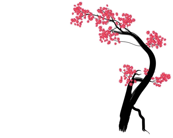 Moldura Sakura Aquarela Fundo Com Ramos Cerejeira Flor Mão Desenhado — Vetor de Stock