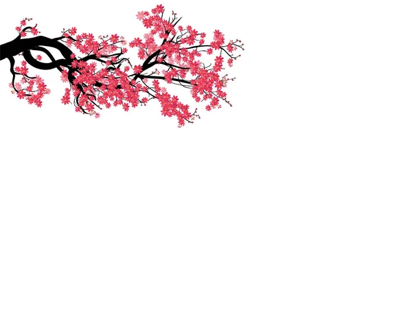 Watercolor Sakura Frame Background Blossom Cherry Tree Branches Hand Drawn — Stock Vector