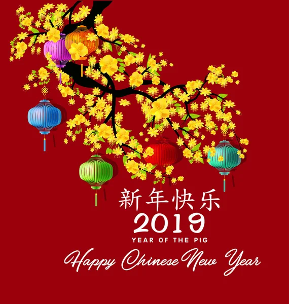 Bonne Année Chinoise 2019 Année Cochon Nouvel Lunaire Caractères Chinois — Image vectorielle