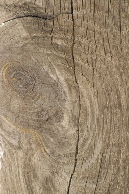 güzel ahşap desenler, ahşap doku, fotoğraf panoları, tasarımcılar için arka plan