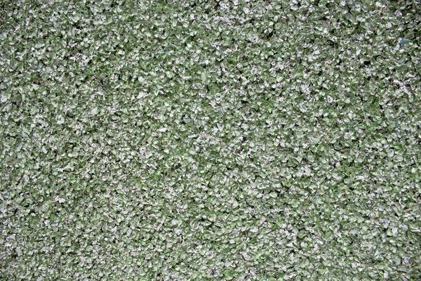 texture, background for designers. green colored gravel wall