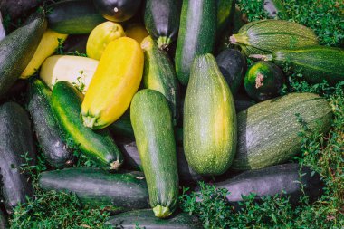 bir demet kabak çim üzerinde yatıyor. Sarı ve yeşil kabak
