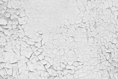 tasarımcılar için kaba arka plan. Eski kırık beyaz boya dokusu. Beton duvardaki eski kırık boya.